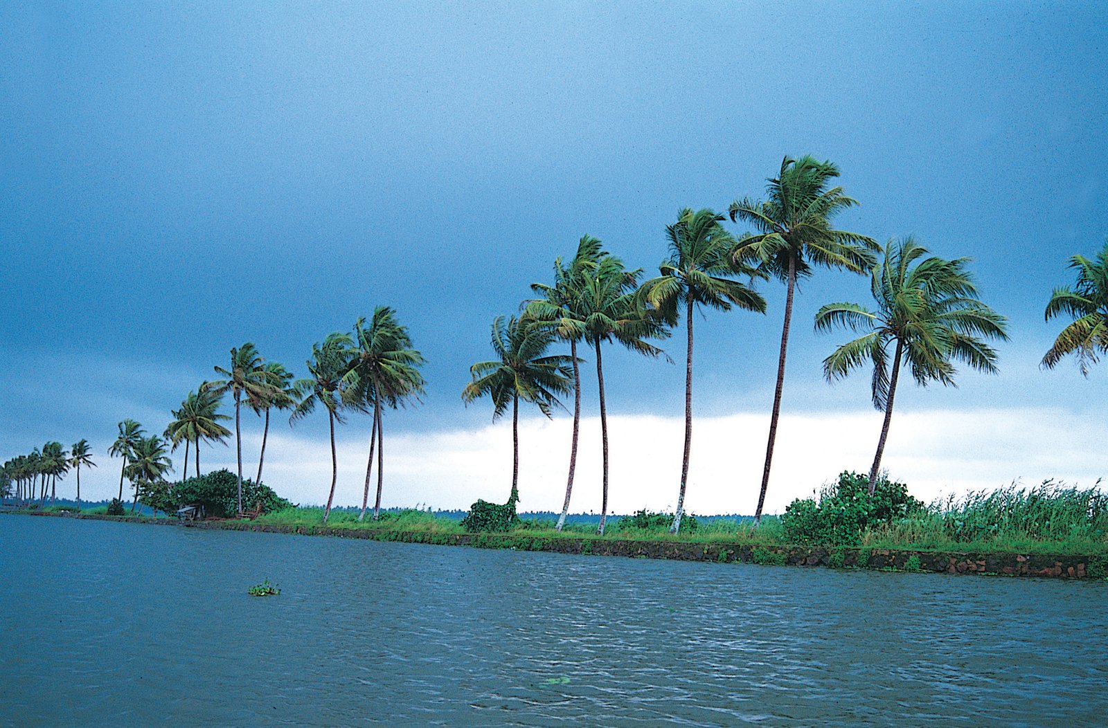 Kerala: A Journey Through God’s Own Country